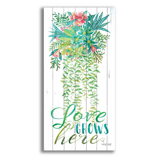 Epic Art 'Love Grows Hanging Plant' by Cindy Jacobs, Acrylic Glass Wall Art,2-1