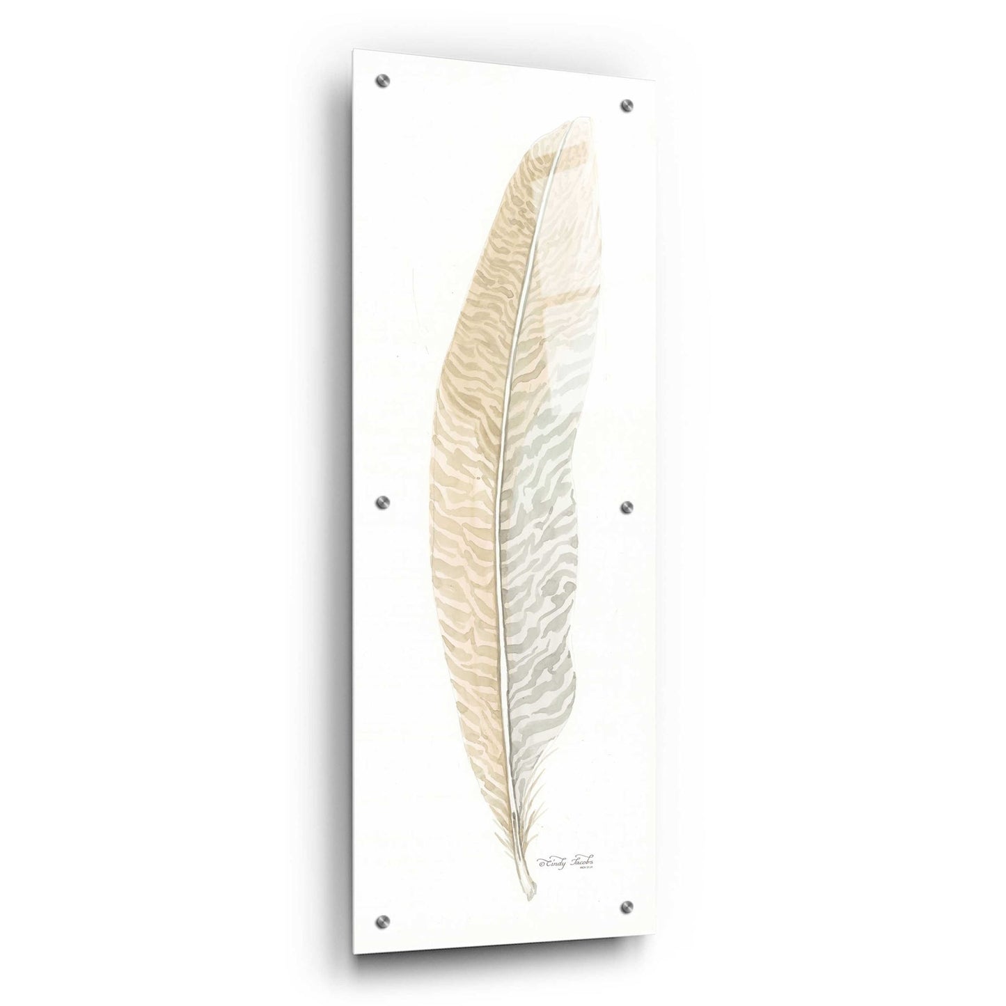 Epic Art 'Tonal Feather I' by Cindy Jacobs, Acrylic Glass Wall Art,12x36