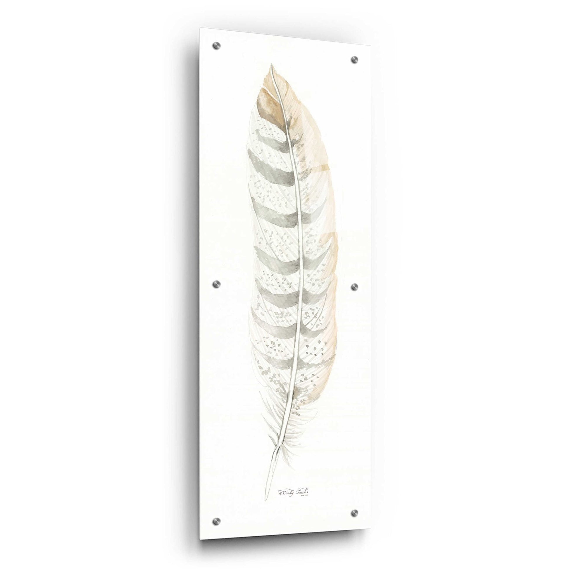 Epic Art 'Tonal Feather II' by Cindy Jacobs, Acrylic Glass Wall Art,12x36