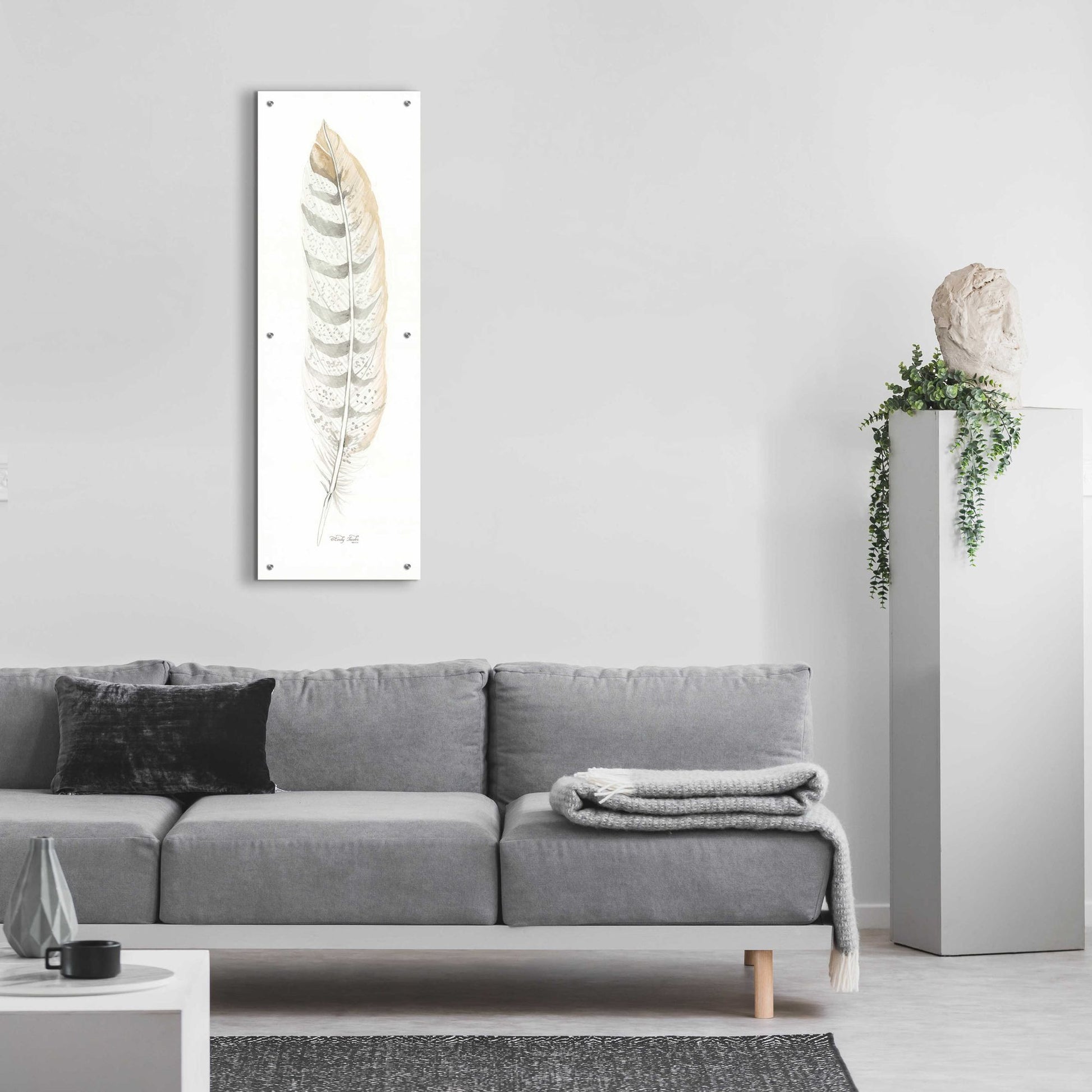 Epic Art 'Tonal Feather II' by Cindy Jacobs, Acrylic Glass Wall Art,16x48