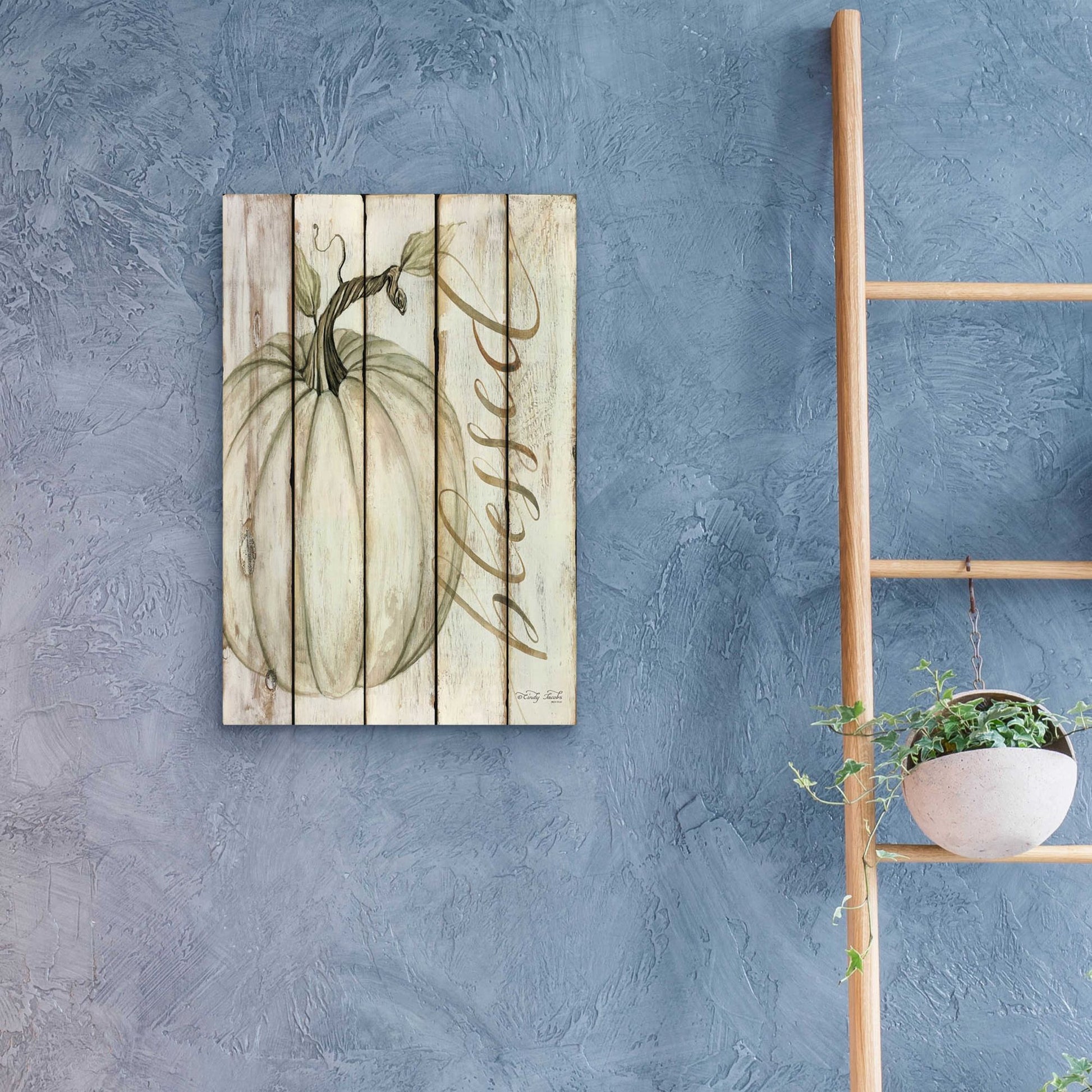 Epic Art 'Blessed Pumpkin on Shiplap' by Cindy Jacobs, Acrylic Glass Wall Art,16x24