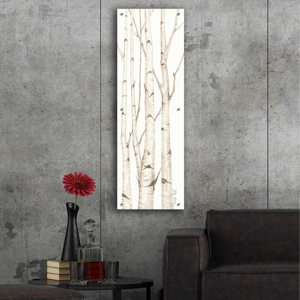 Epic Art 'Birch Trees I' by Cindy Jacobs, Acrylic Glass Wall Art,16x48