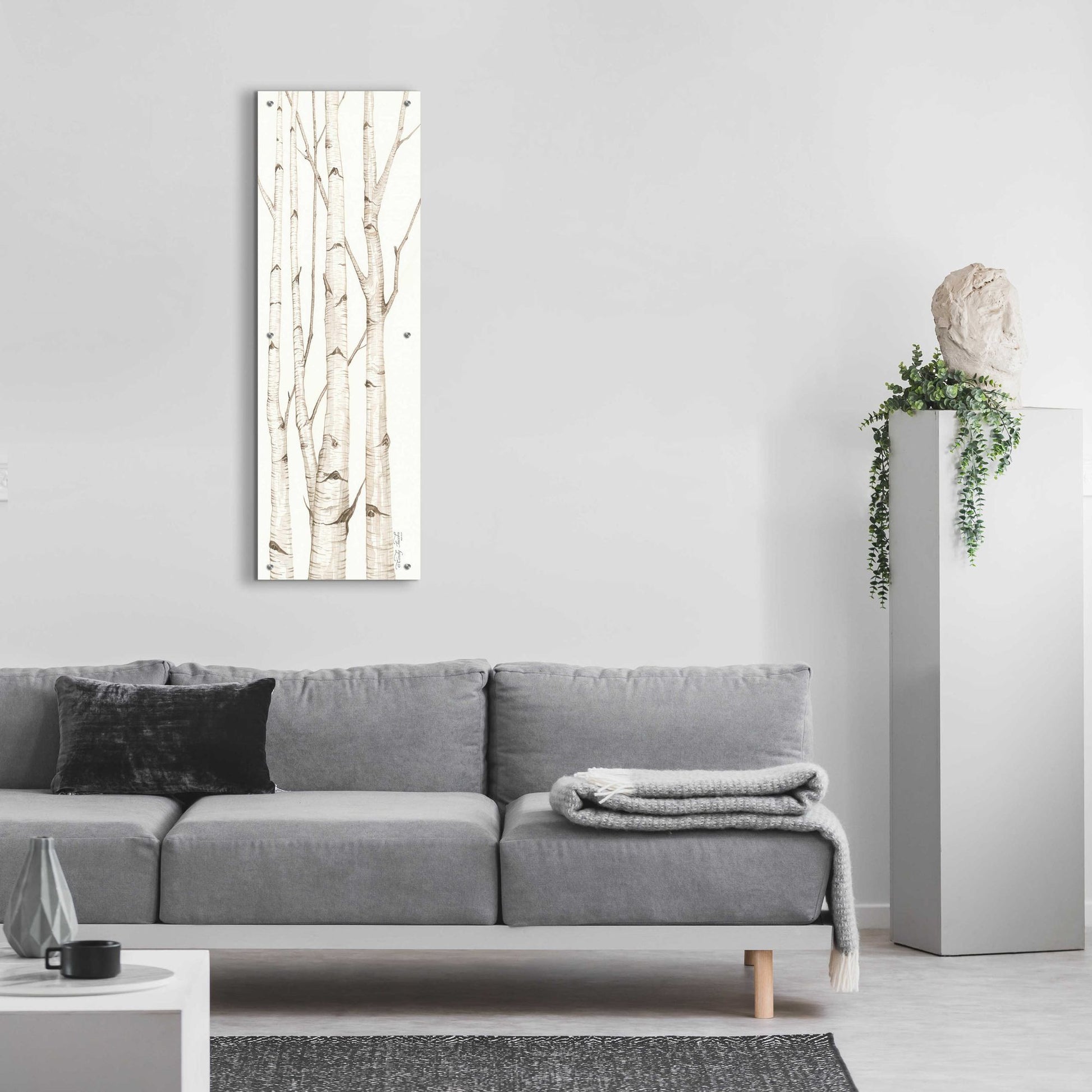 Epic Art 'Birch Trees I' by Cindy Jacobs, Acrylic Glass Wall Art,16x48