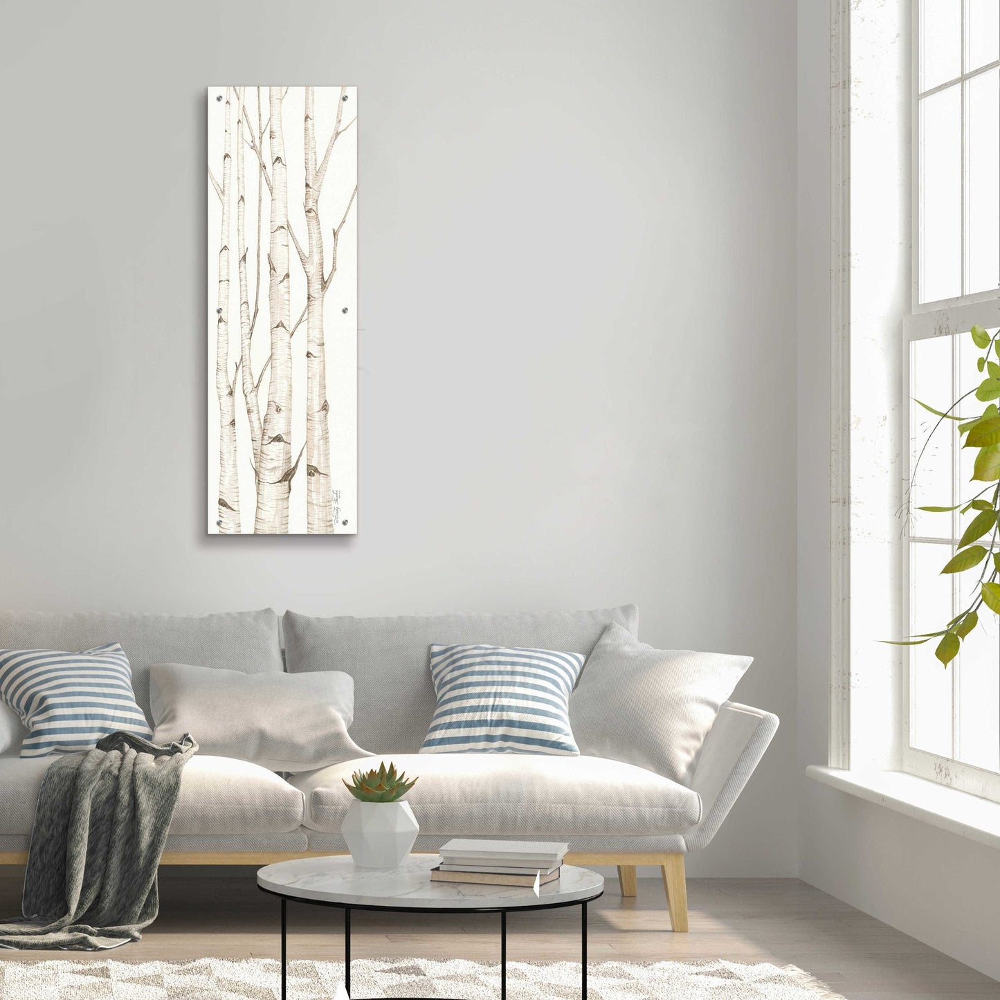 Epic Art 'Birch Trees I' by Cindy Jacobs, Acrylic Glass Wall Art,16x48