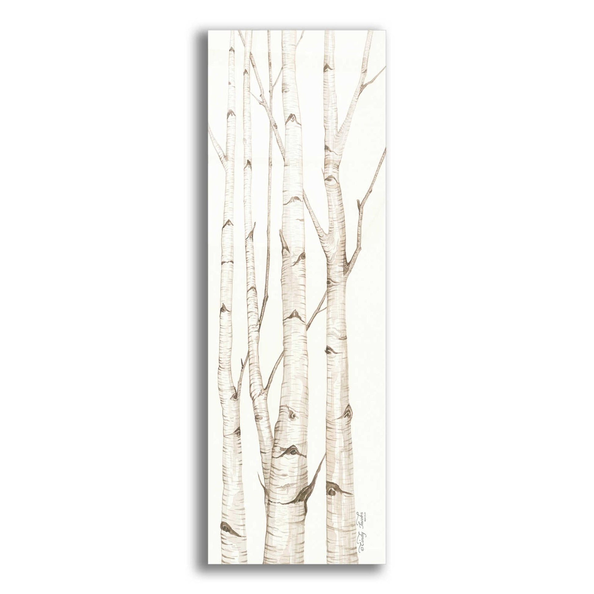 Epic Art 'Birch Trees I' by Cindy Jacobs, Acrylic Glass Wall Art,3-1