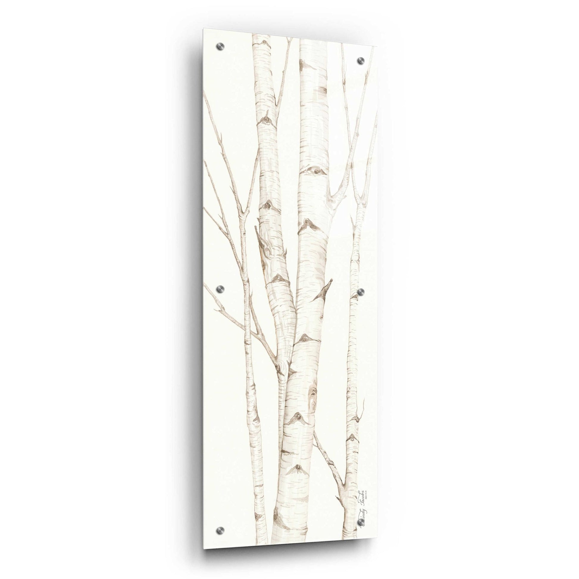 Epic Art 'Birch Trees II' by Cindy Jacobs, Acrylic Glass Wall Art,12x36