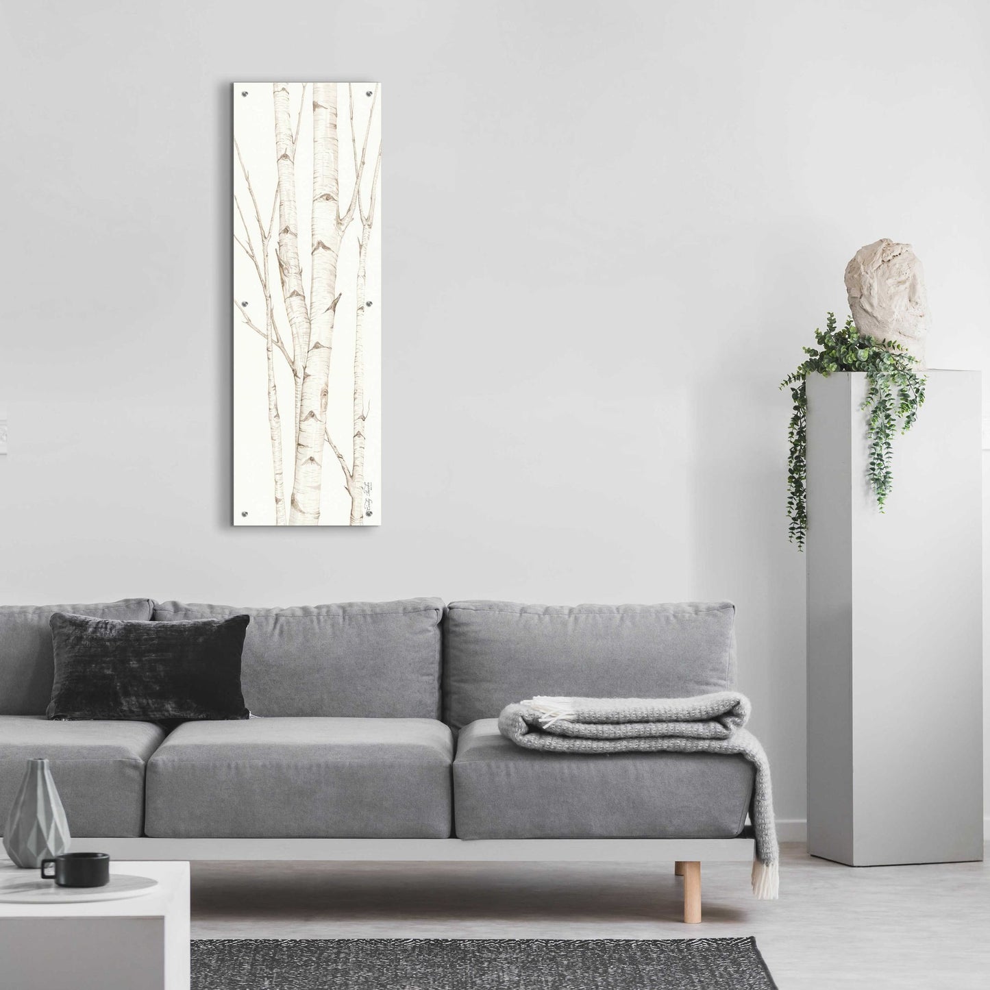 Epic Art 'Birch Trees II' by Cindy Jacobs, Acrylic Glass Wall Art,16x48