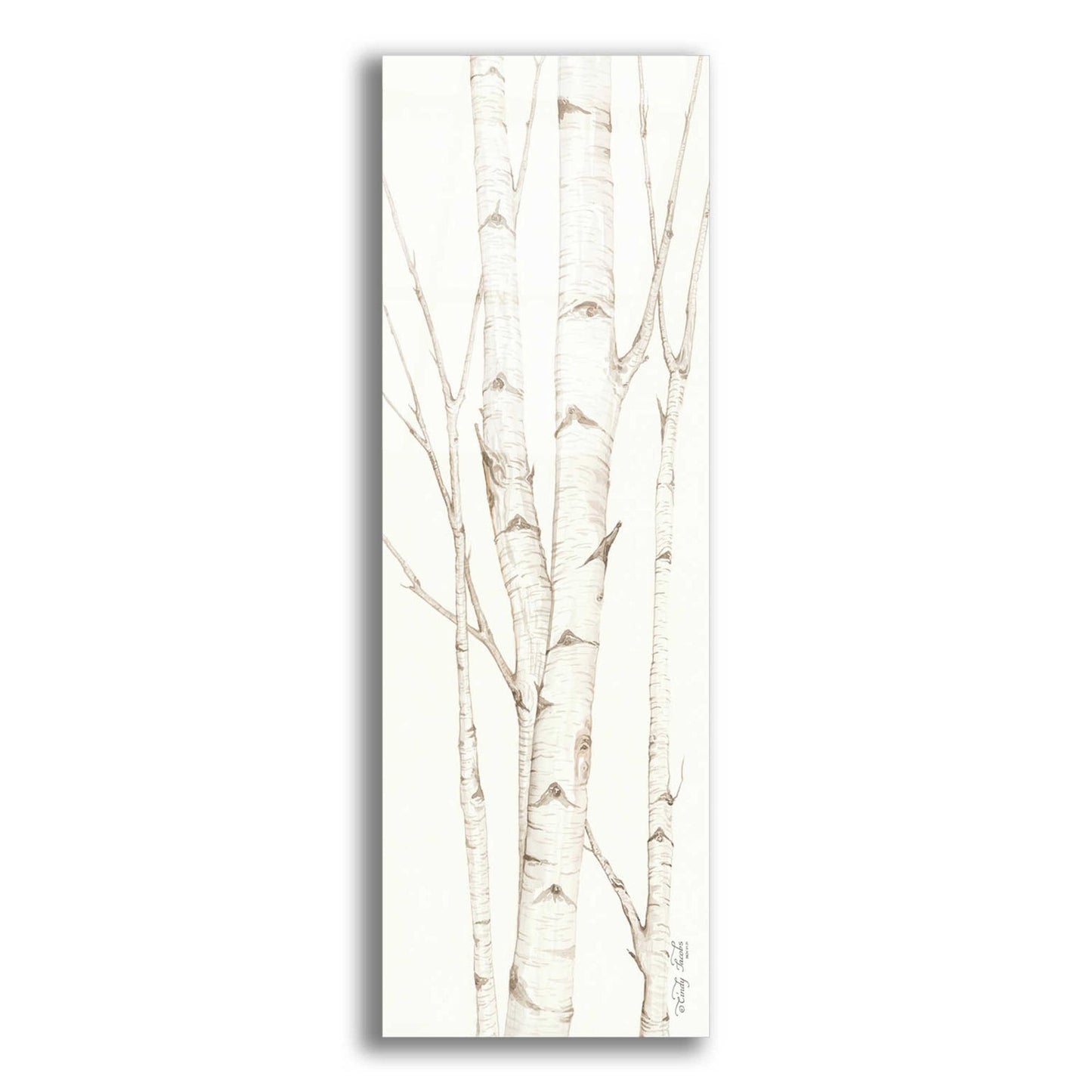 Epic Art 'Birch Trees II' by Cindy Jacobs, Acrylic Glass Wall Art,3-1