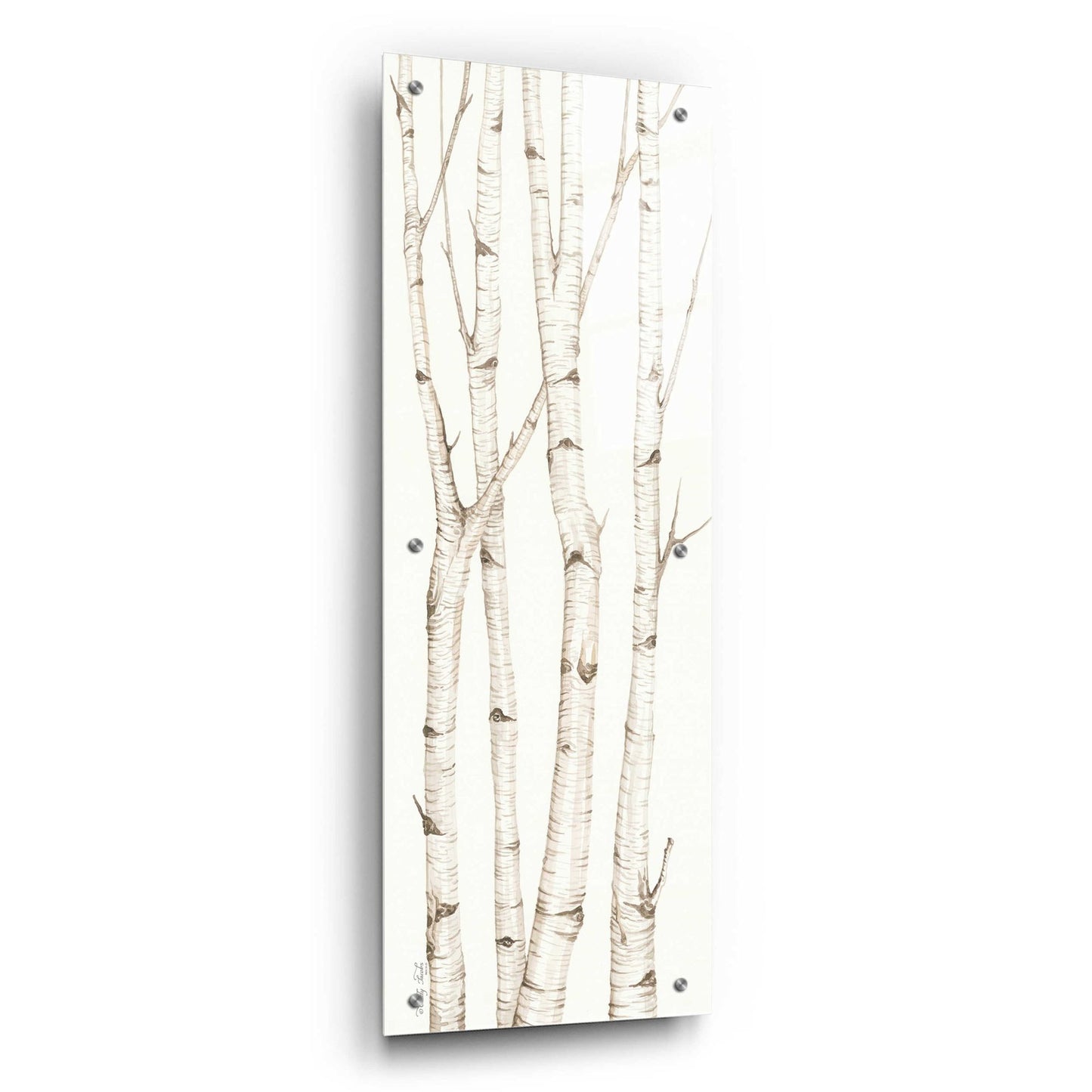 Epic Art 'Birch Trees III' by Cindy Jacobs, Acrylic Glass Wall Art,12x36