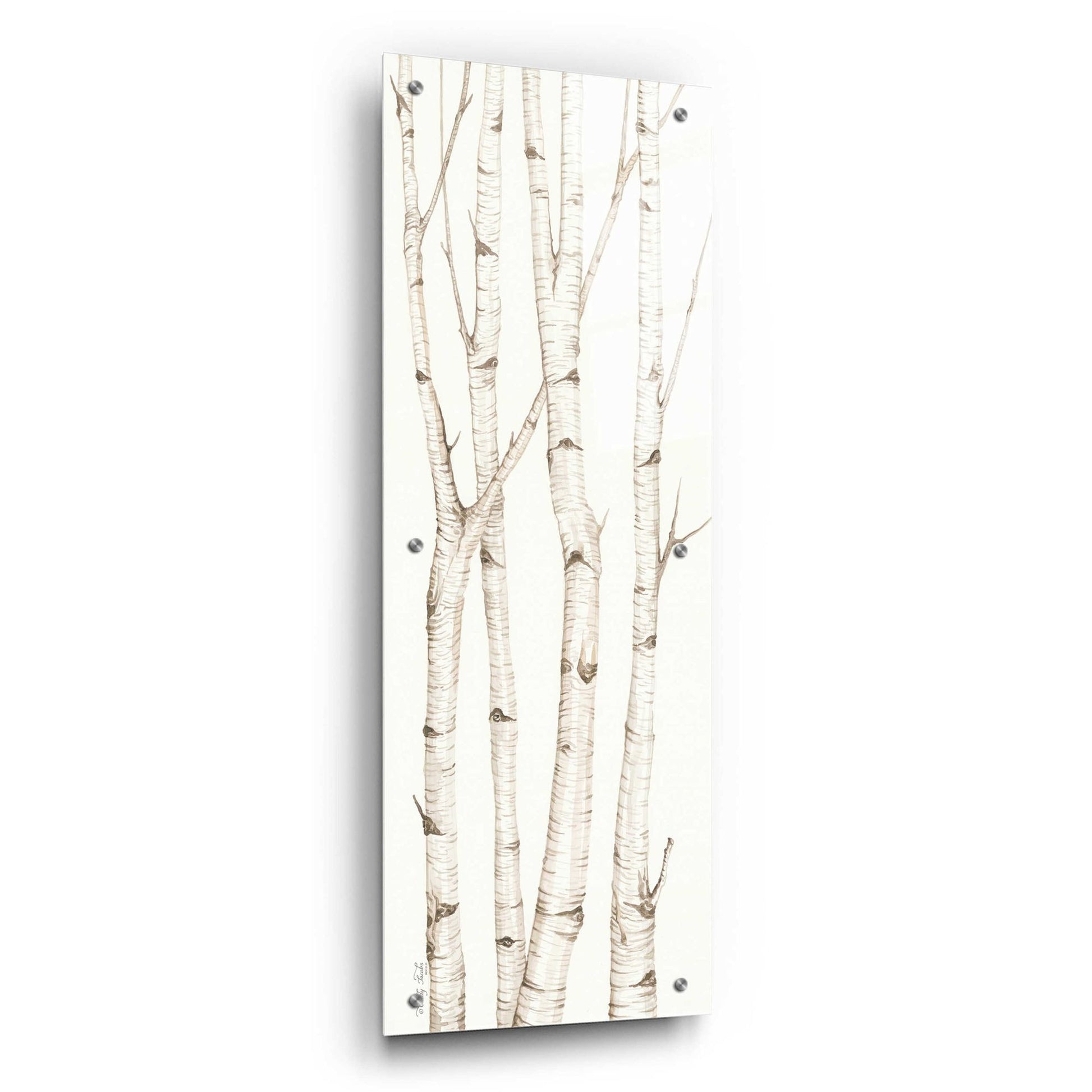 Epic Art 'Birch Trees III' by Cindy Jacobs, Acrylic Glass Wall Art,12x36