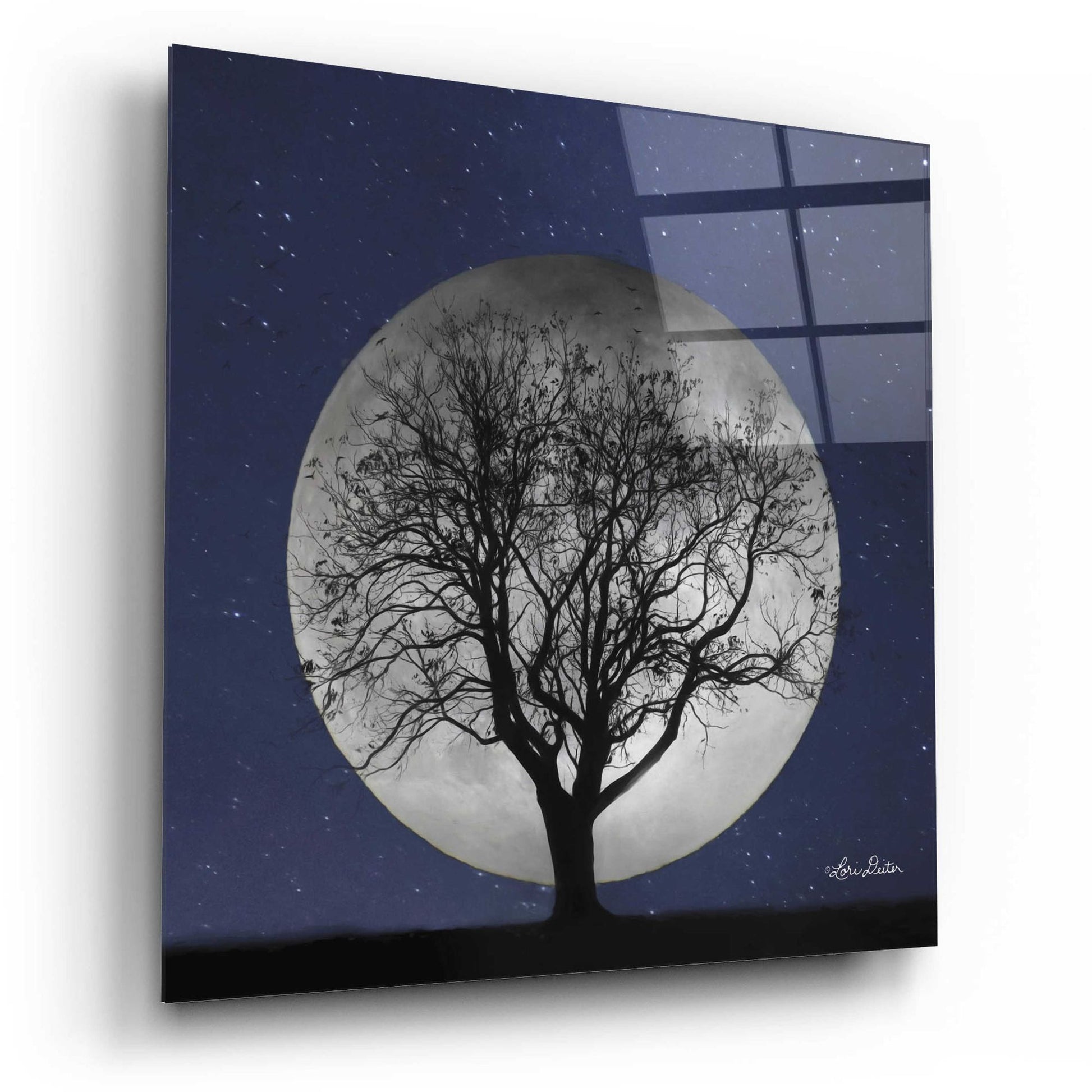 Epic Art 'Full Moon' by Lori Deiter, Acrylic Glass Wall Art,12x12