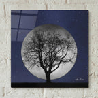 Epic Art 'Full Moon' by Lori Deiter, Acrylic Glass Wall Art,12x12