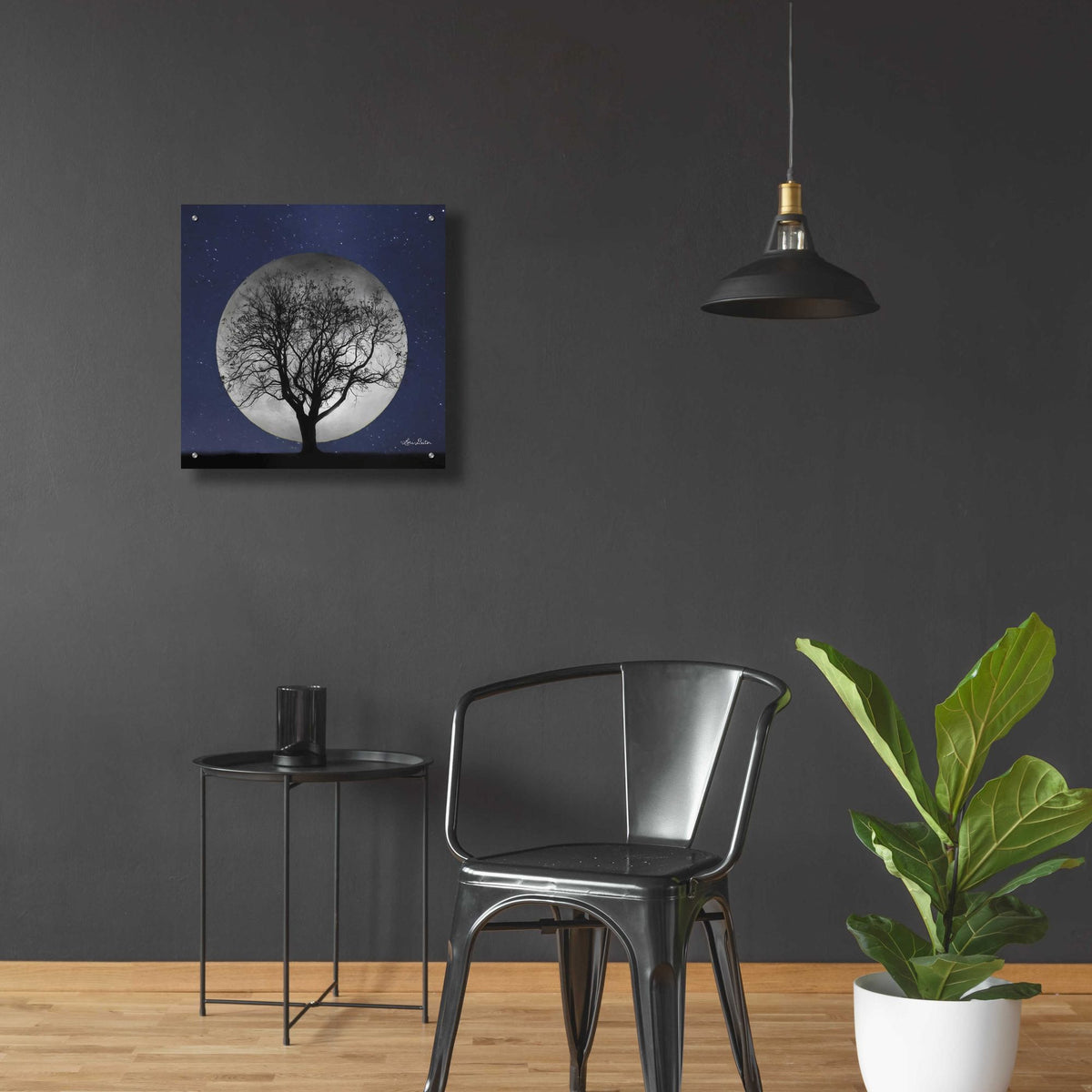 Epic Art 'Full Moon' by Lori Deiter, Acrylic Glass Wall Art,24x24