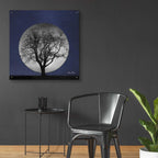 Epic Art 'Full Moon' by Lori Deiter, Acrylic Glass Wall Art,36x36