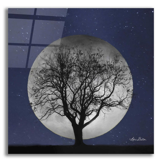 Epic Art 'Full Moon' by Lori Deiter, Acrylic Glass Wall Art