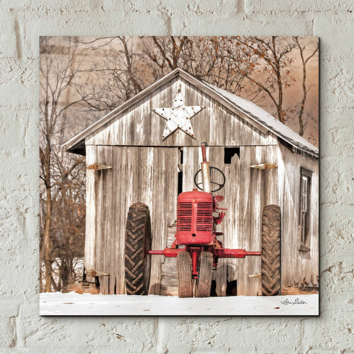 Epic Art 'Star Shed' by Lori Deiter, Acrylic Glass Wall Art,12x12