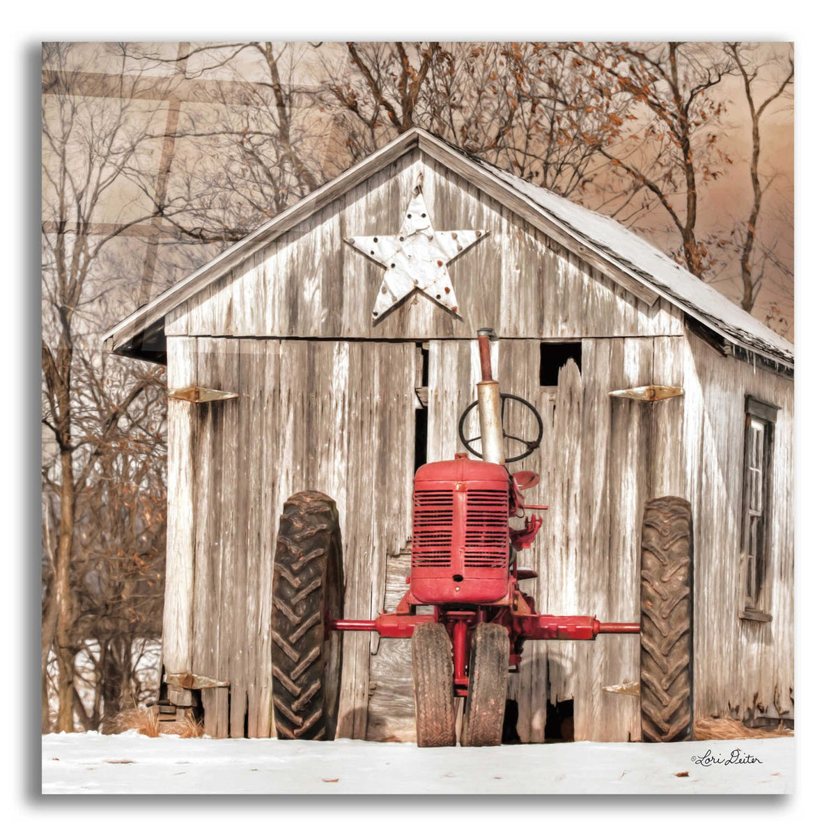 Epic Art 'Star Shed' by Lori Deiter, Acrylic Glass Wall Art