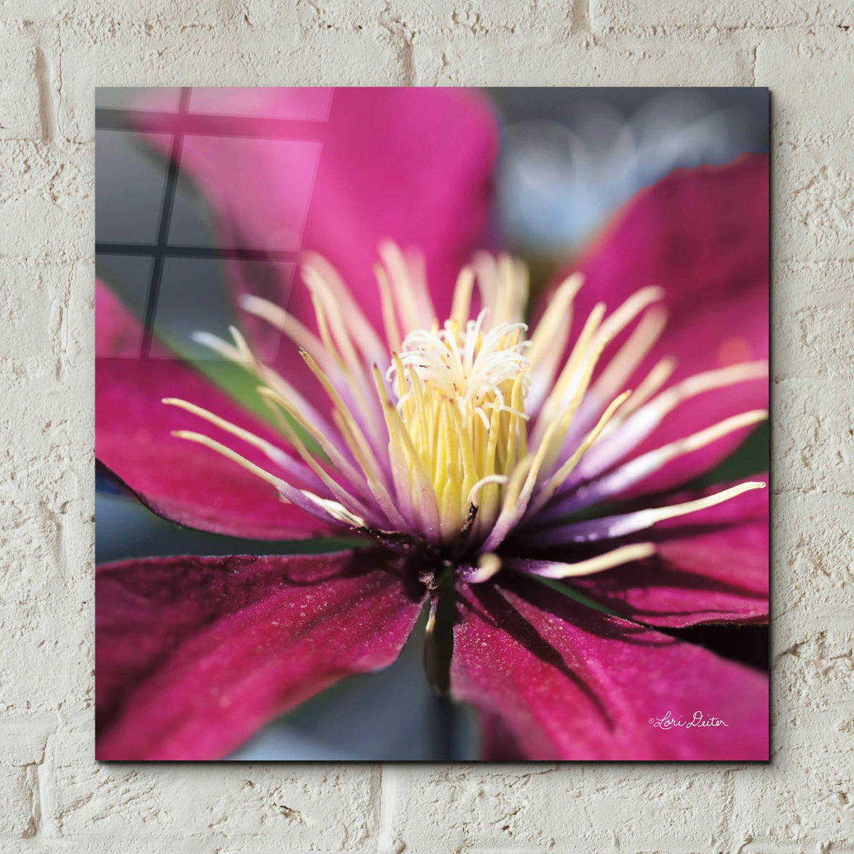 Epic Art 'Floral Pop II' by Lori Deiter, Acrylic Glass Wall Art,12x12