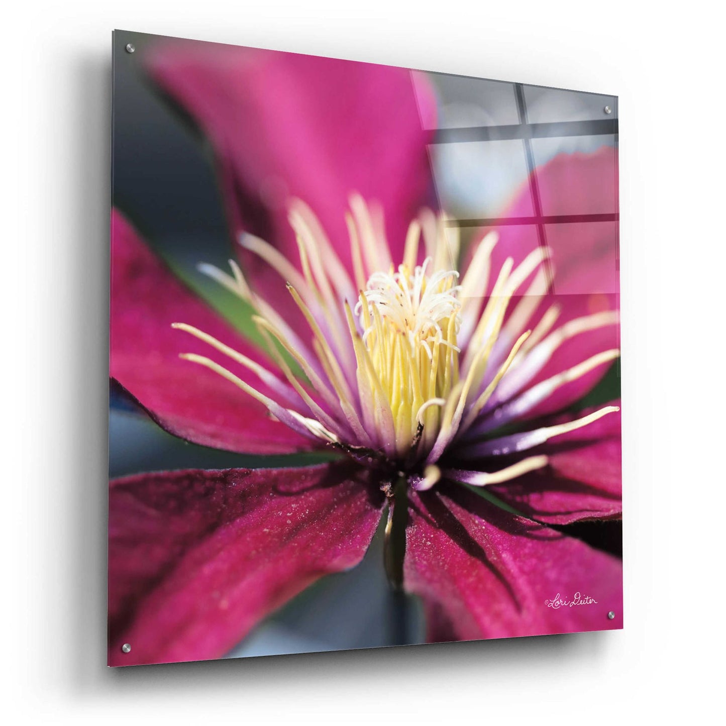 Epic Art 'Floral Pop II' by Lori Deiter, Acrylic Glass Wall Art,36x36