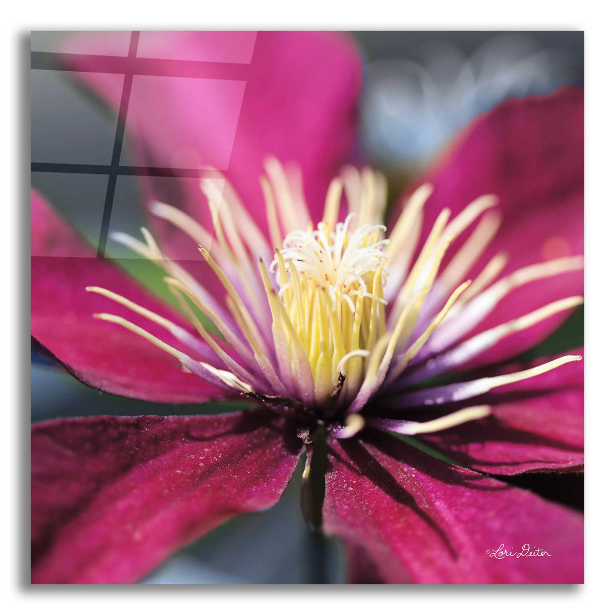 Epic Art 'Floral Pop II' by Lori Deiter, Acrylic Glass Wall Art