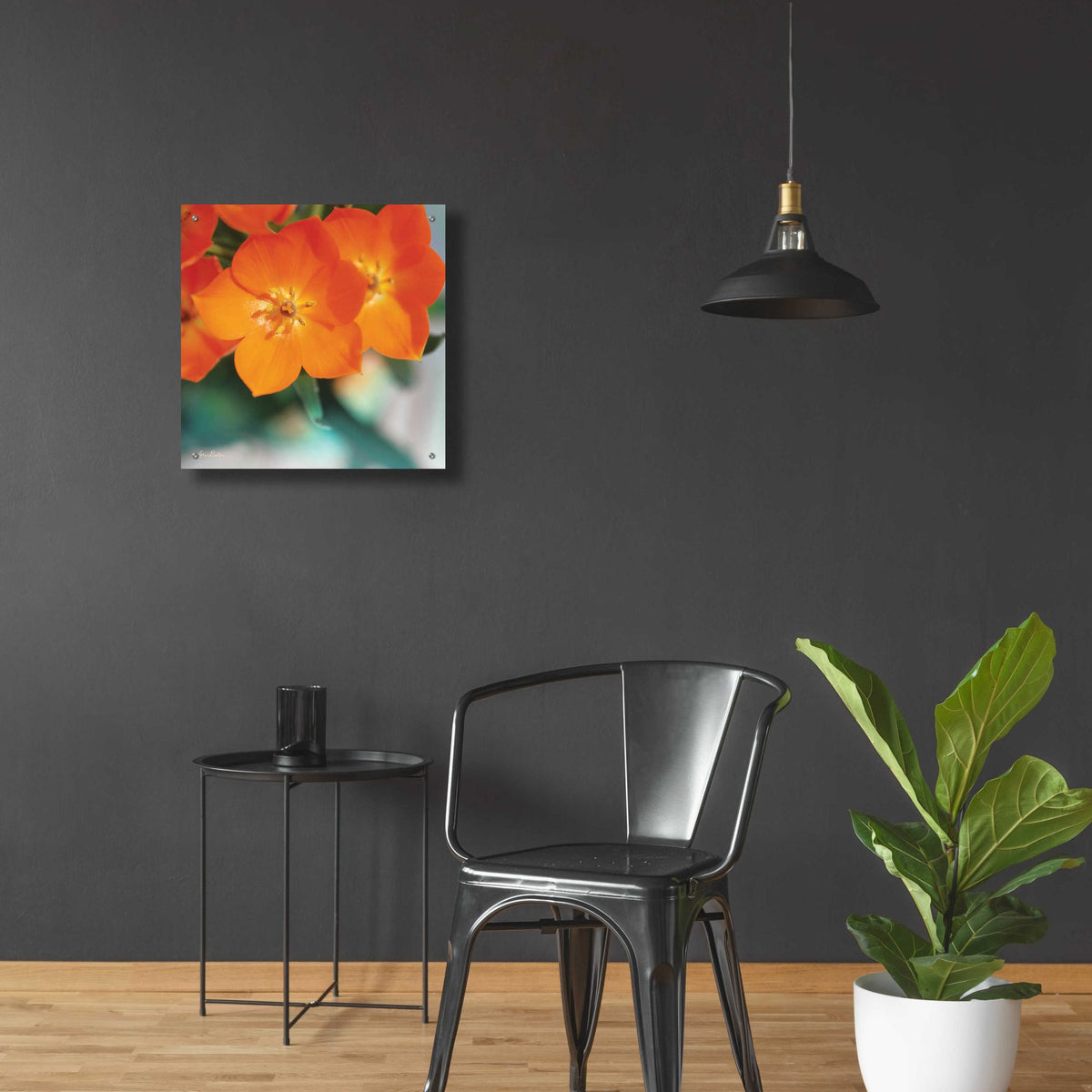 Epic Art 'Floral Pop III' by Lori Deiter, Acrylic Glass Wall Art,24x24