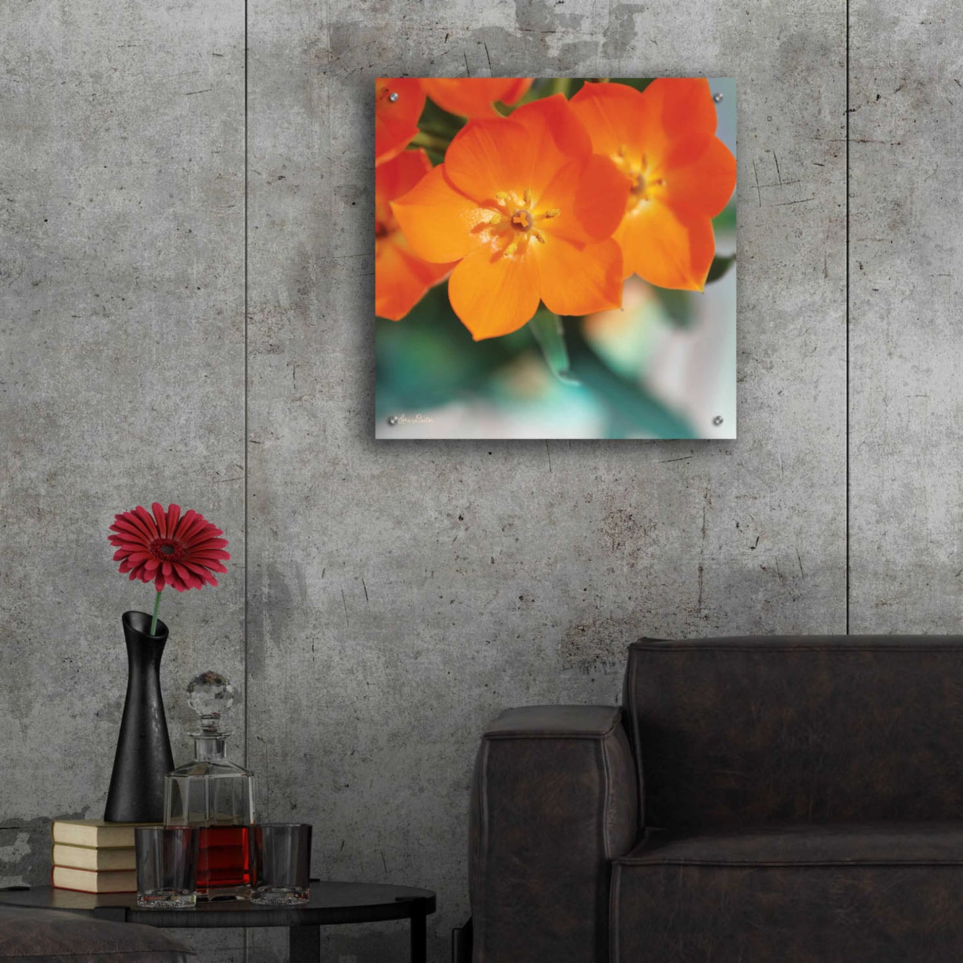 Epic Art 'Floral Pop III' by Lori Deiter, Acrylic Glass Wall Art,24x24