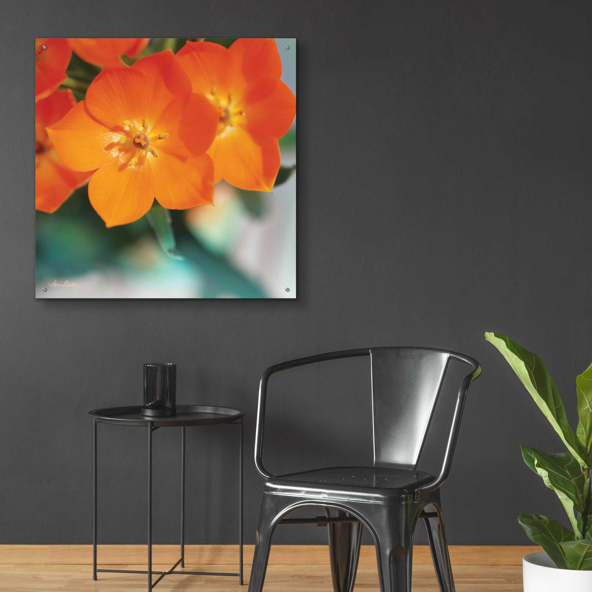 Epic Art 'Floral Pop III' by Lori Deiter, Acrylic Glass Wall Art,36x36