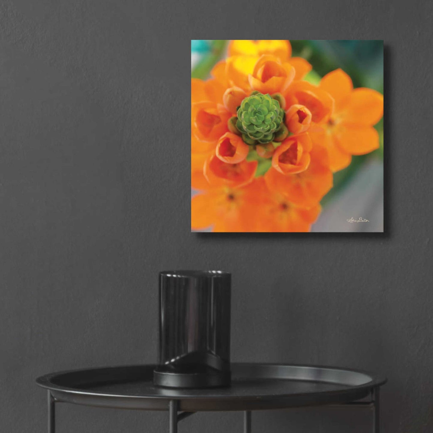 Epic Art 'Floral Pop IV' by Lori Deiter, Acrylic Glass Wall Art,12x12