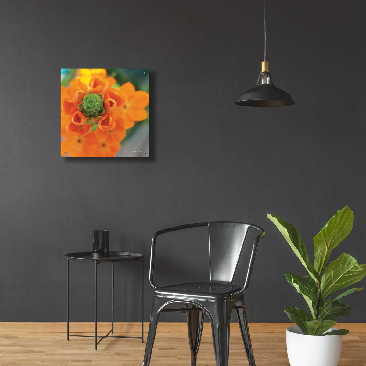 Epic Art 'Floral Pop IV' by Lori Deiter, Acrylic Glass Wall Art,24x24