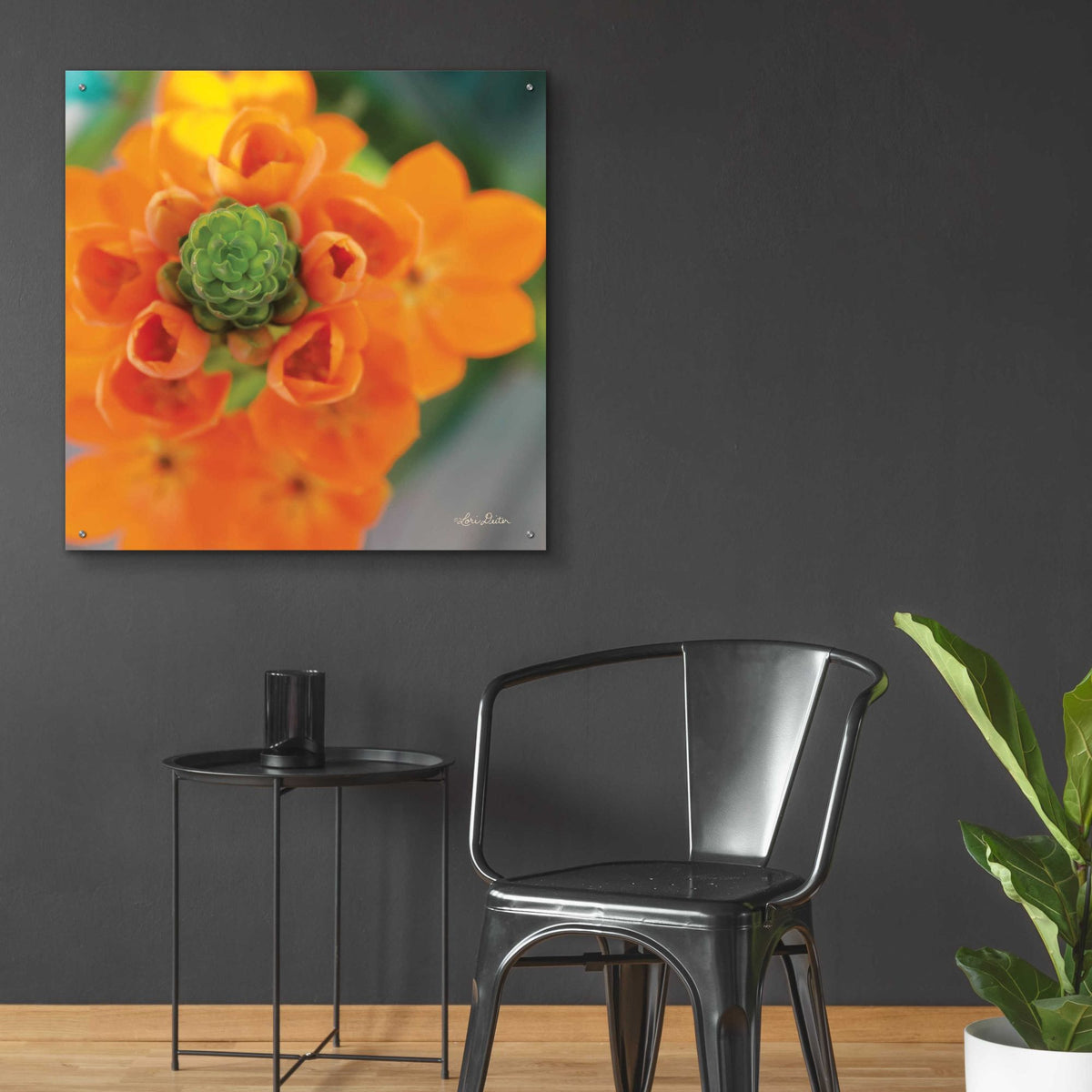 Epic Art 'Floral Pop IV' by Lori Deiter, Acrylic Glass Wall Art,36x36