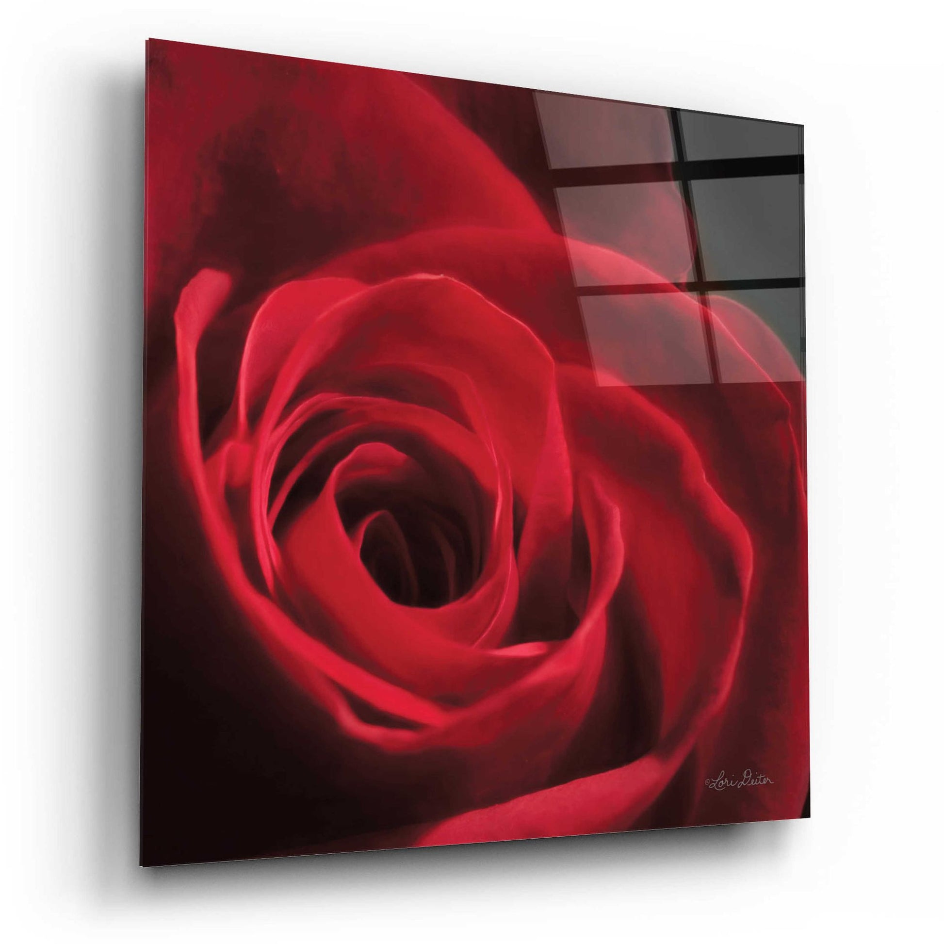 Epic Art 'The Red Rose I' by Lori Deiter, Acrylic Glass Wall Art,12x12