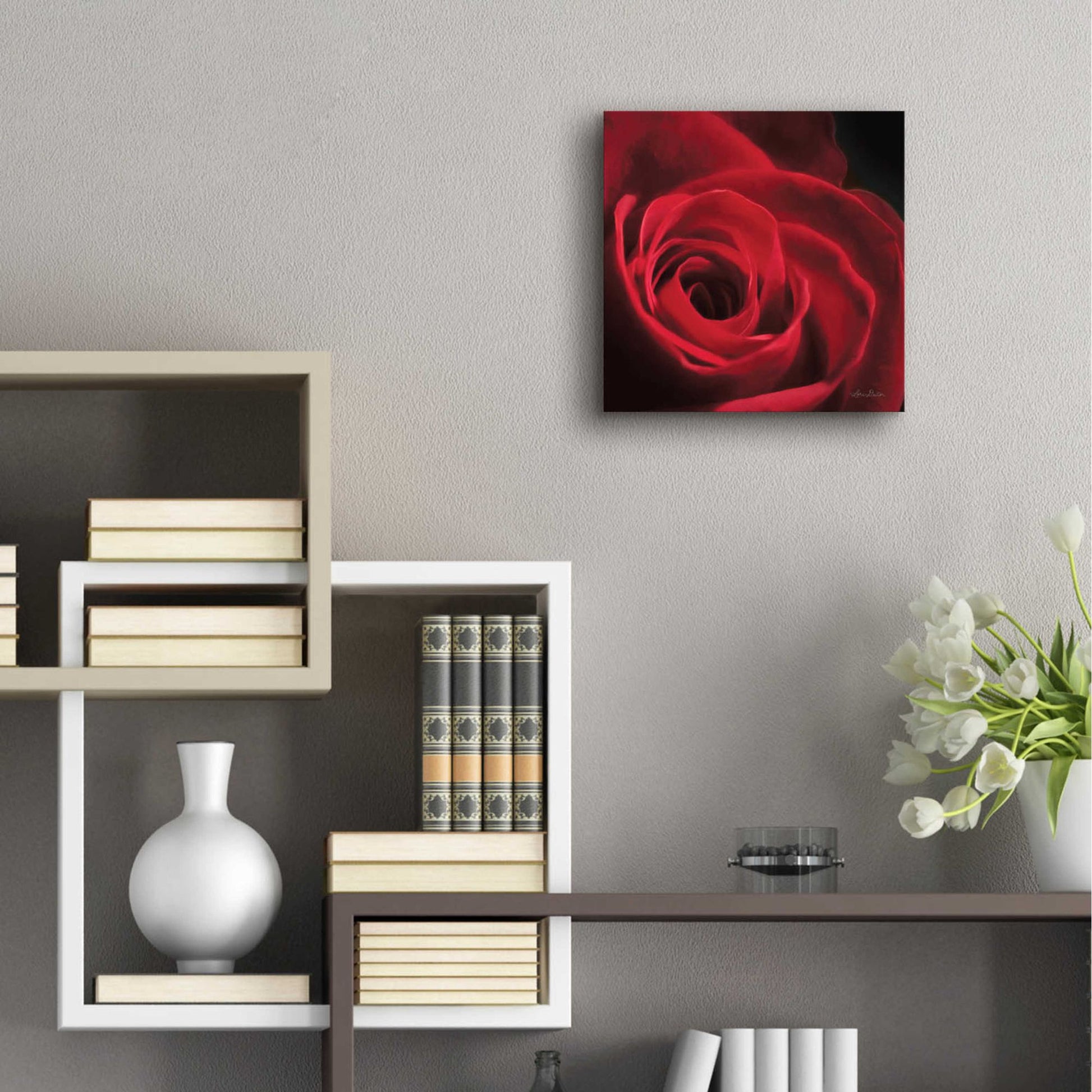 Epic Art 'The Red Rose I' by Lori Deiter, Acrylic Glass Wall Art,12x12