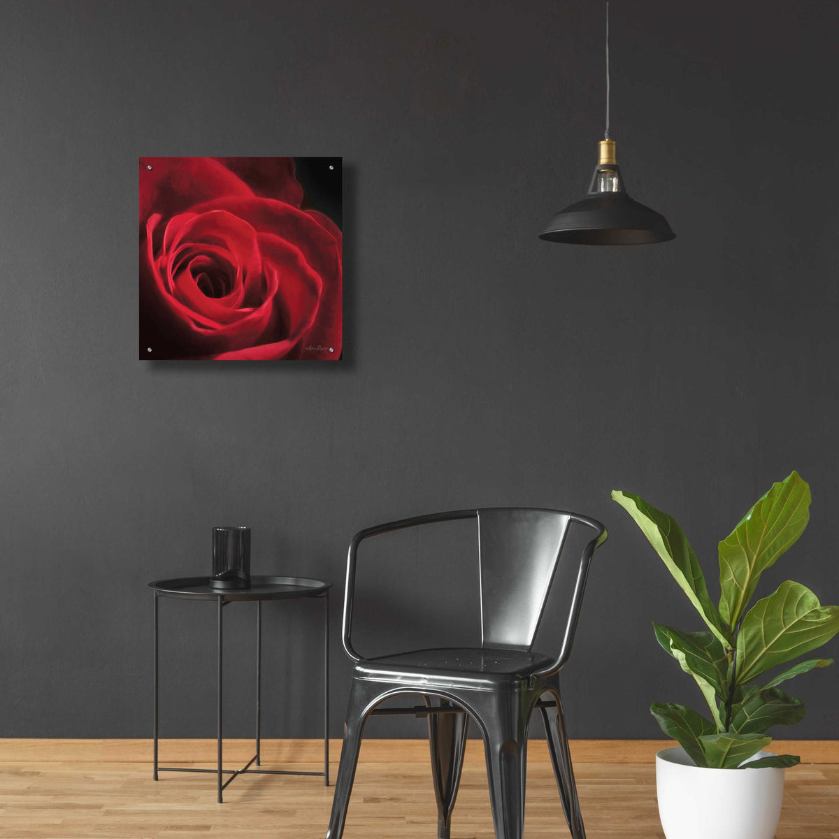 Epic Art 'The Red Rose I' by Lori Deiter, Acrylic Glass Wall Art,24x24