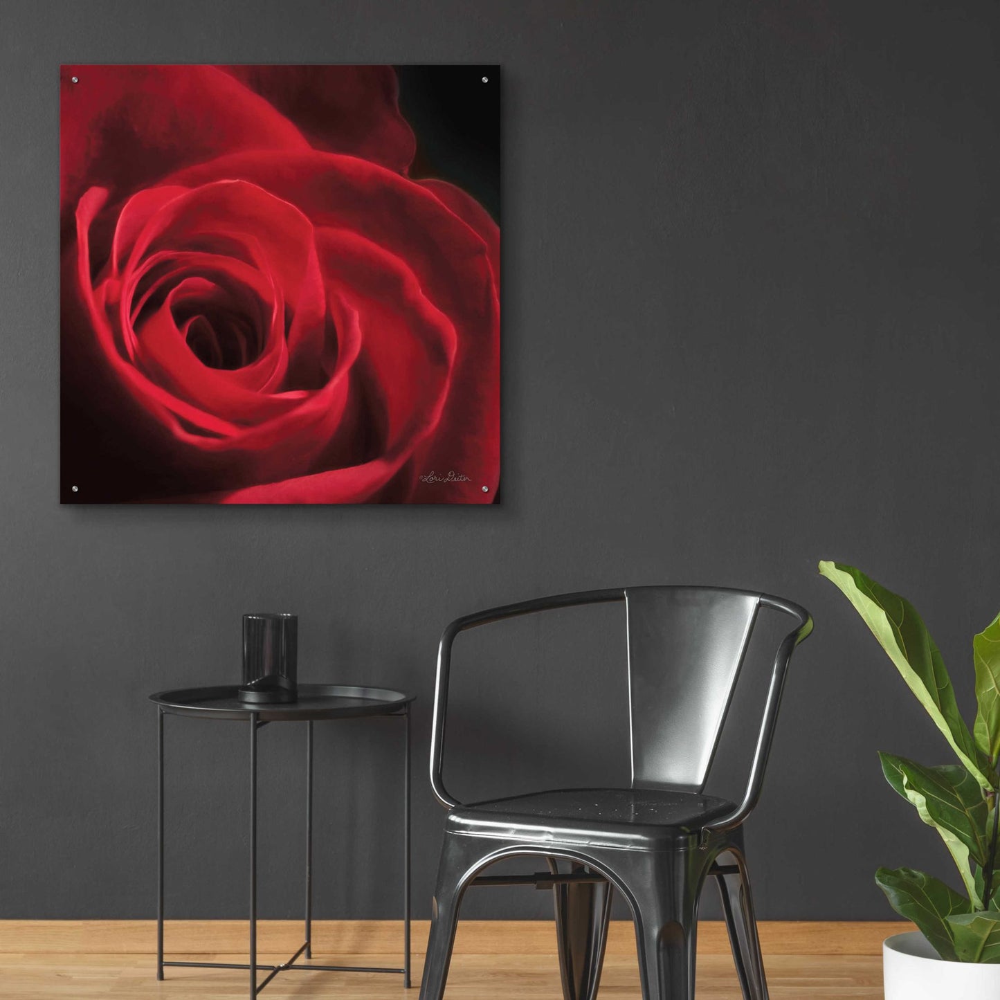 Epic Art 'The Red Rose I' by Lori Deiter, Acrylic Glass Wall Art,36x36