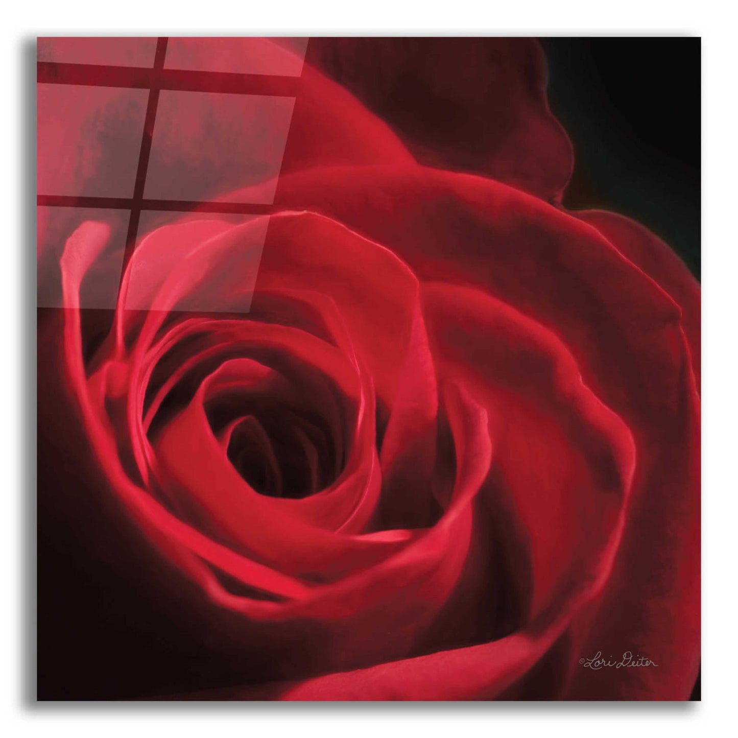 Epic Art 'The Red Rose I' by Lori Deiter, Acrylic Glass Wall Art