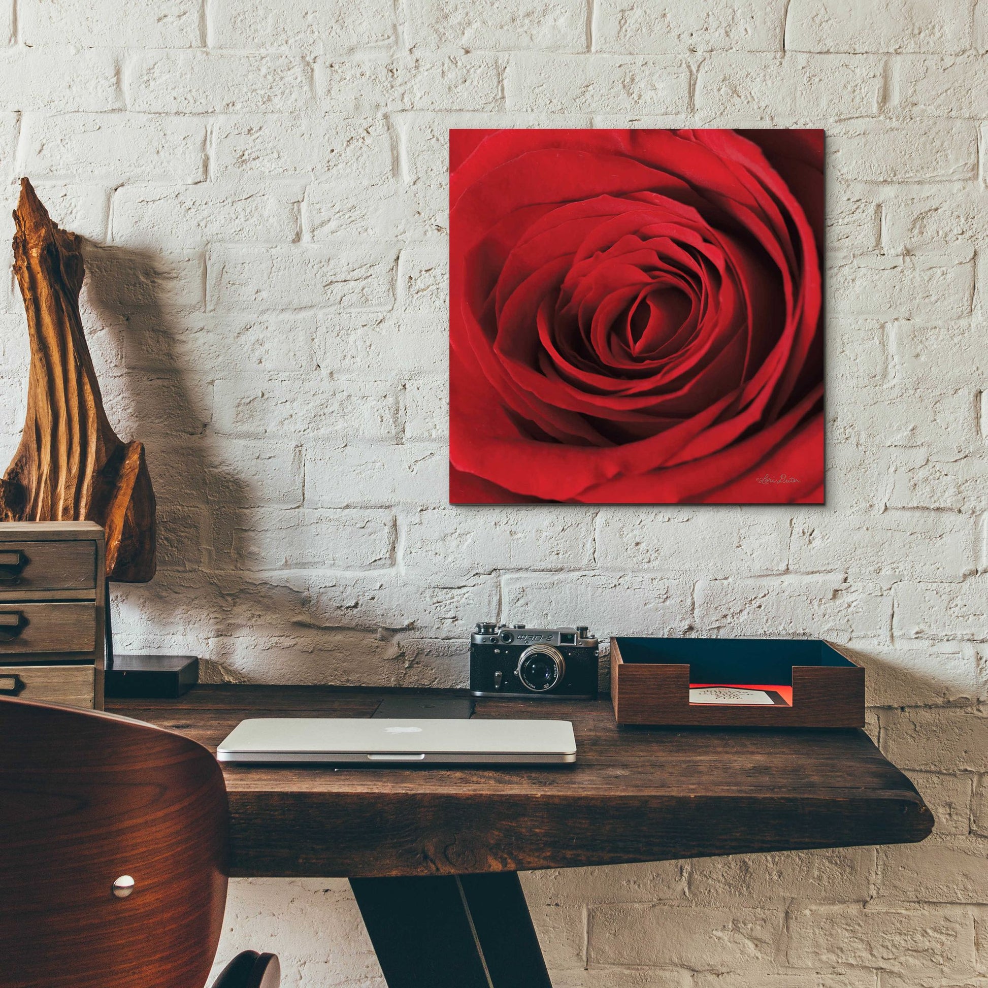 Epic Art 'The Red Rose II' by Lori Deiter, Acrylic Glass Wall Art,12x12