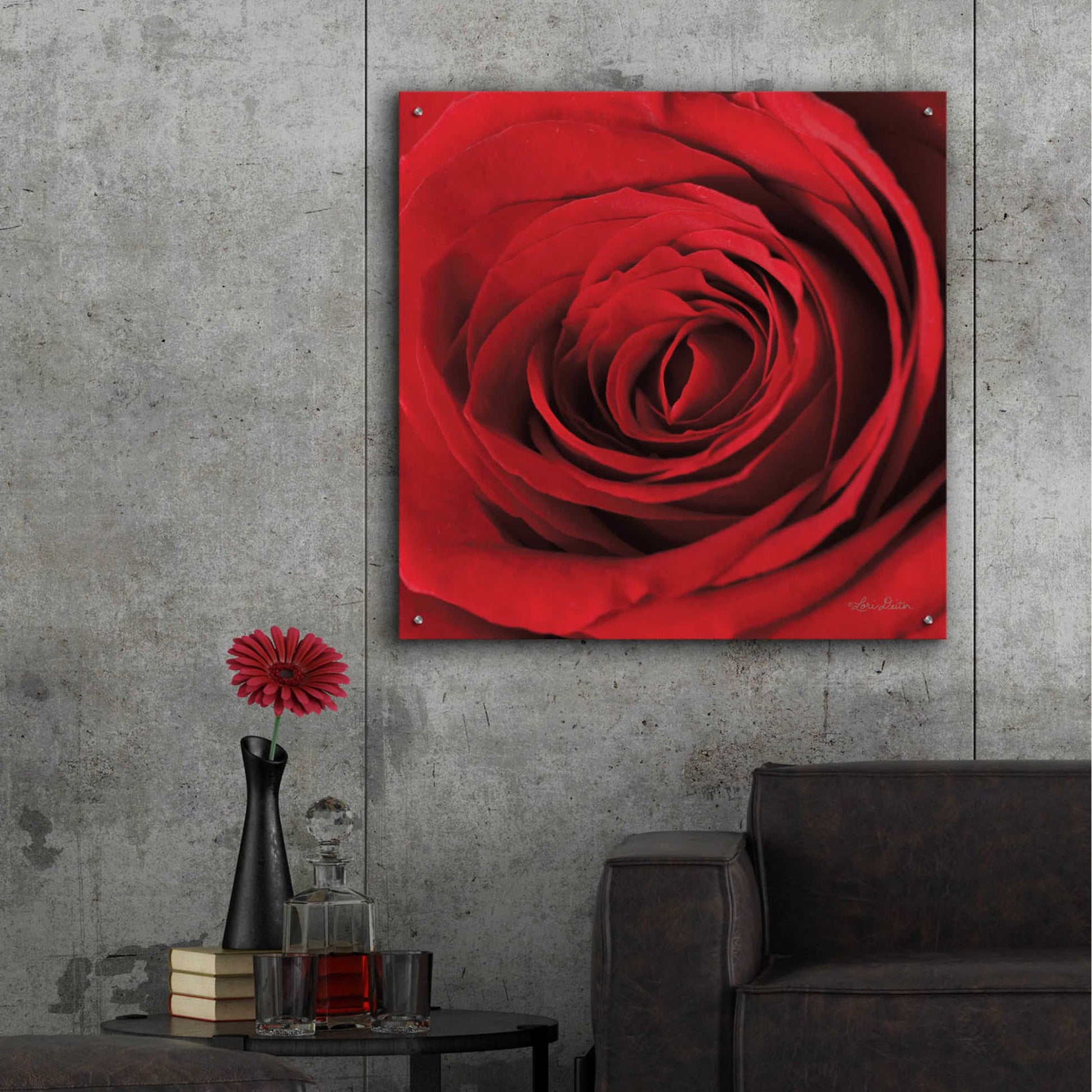 Epic Art 'The Red Rose II' by Lori Deiter, Acrylic Glass Wall Art,36x36