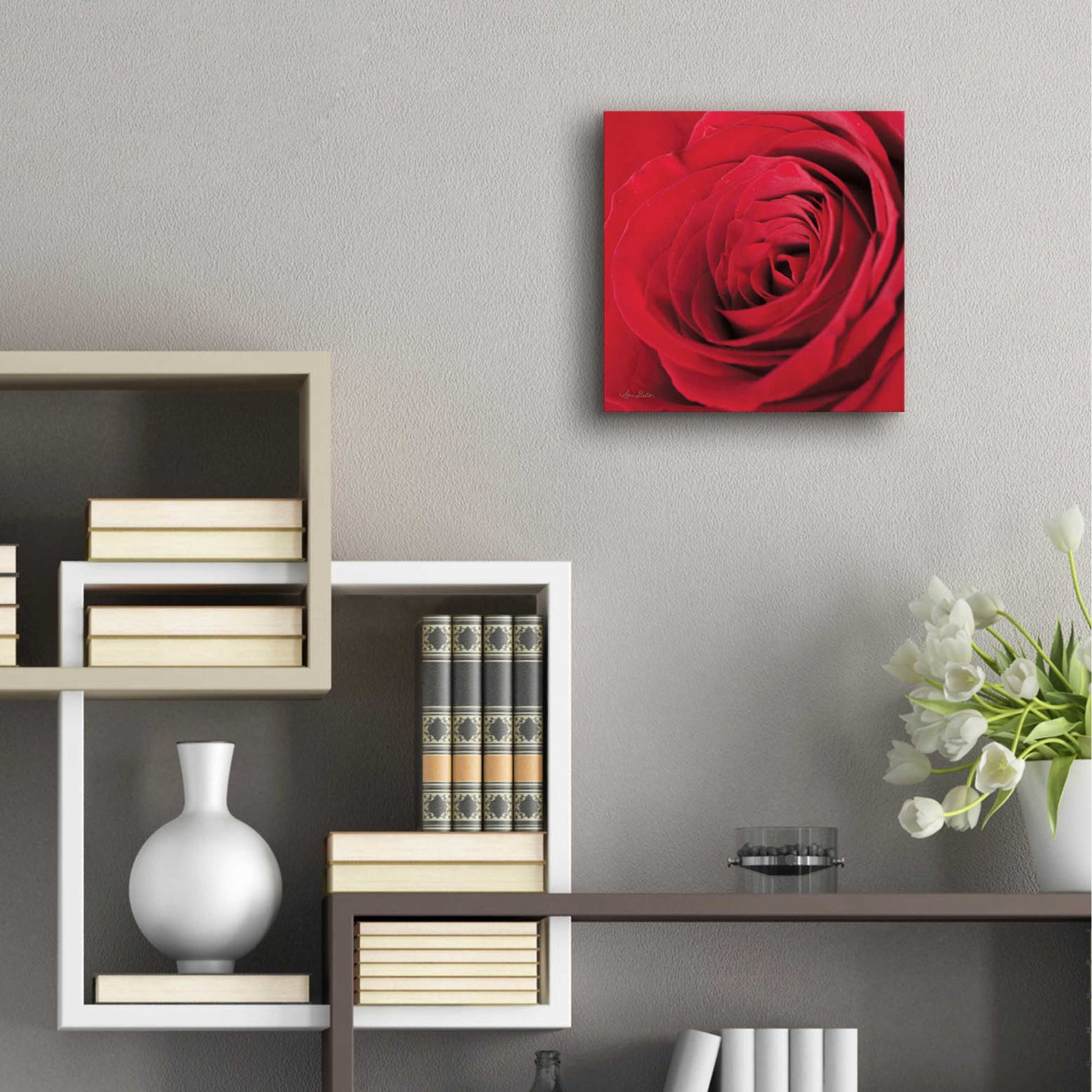 Epic Art 'The Red Rose III' by Lori Deiter, Acrylic Glass Wall Art,12x12