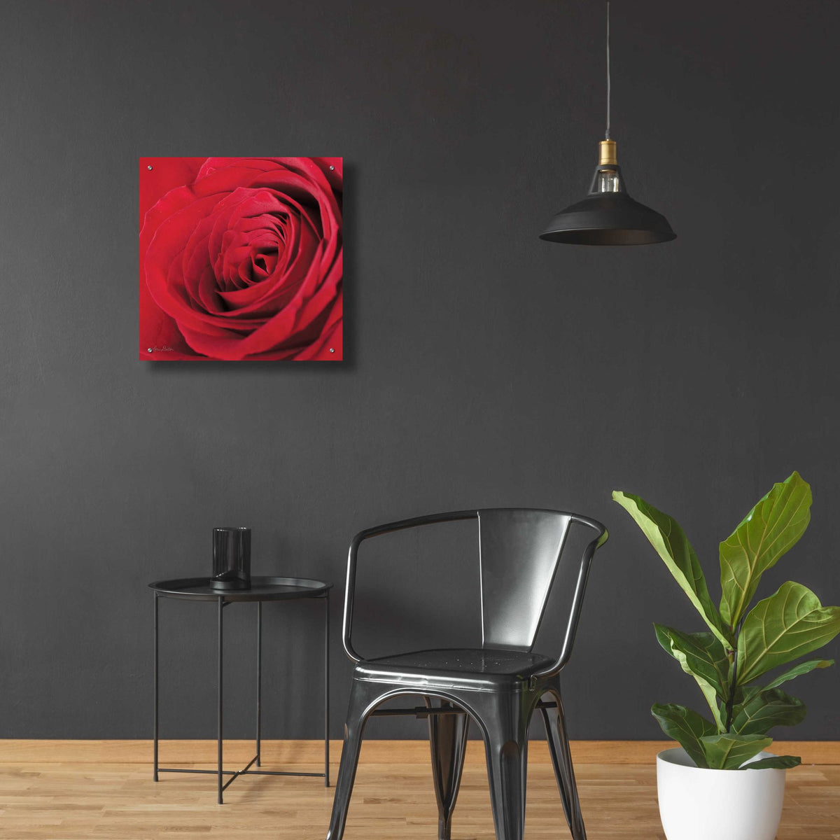 Epic Art 'The Red Rose III' by Lori Deiter, Acrylic Glass Wall Art,24x24