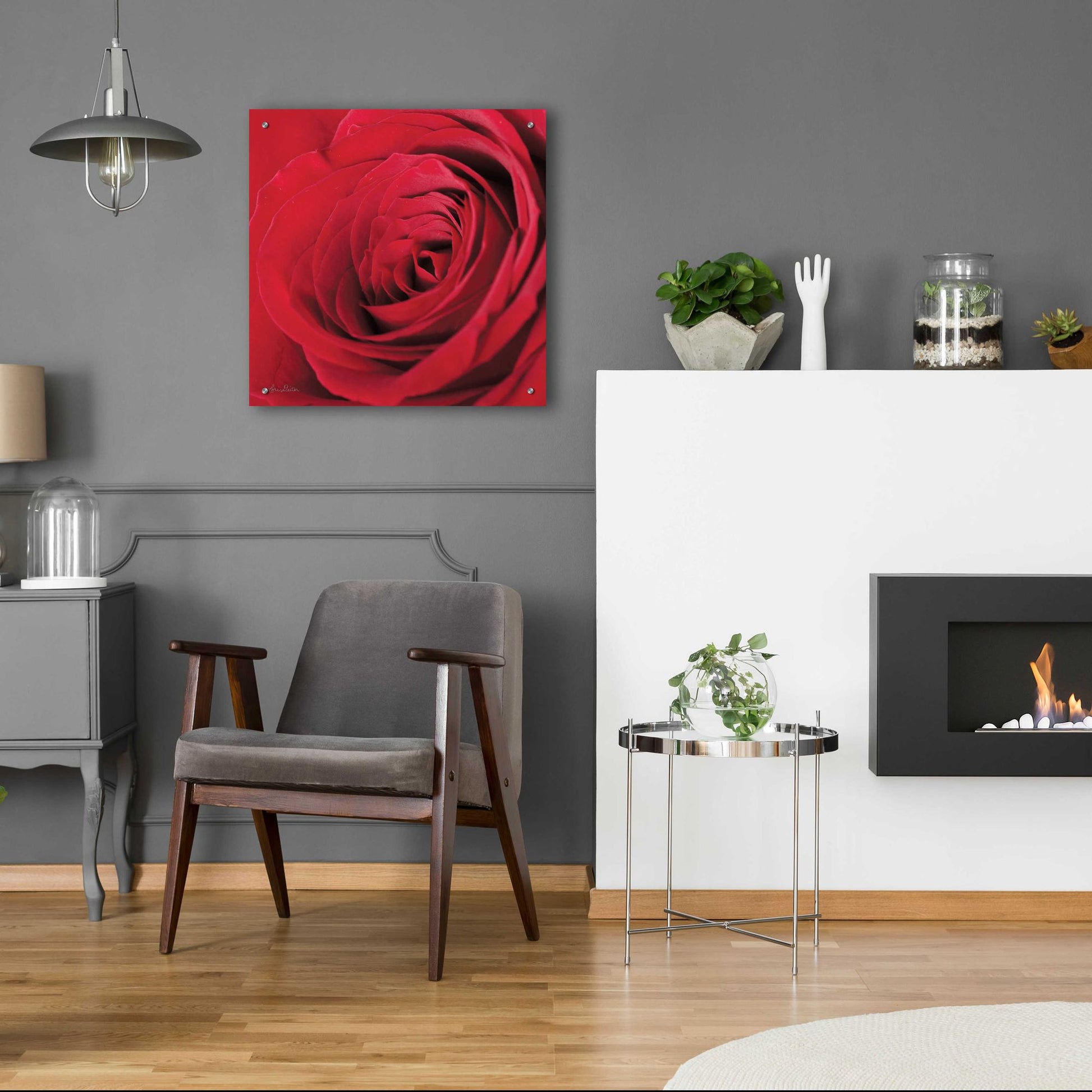Epic Art 'The Red Rose III' by Lori Deiter, Acrylic Glass Wall Art,24x24