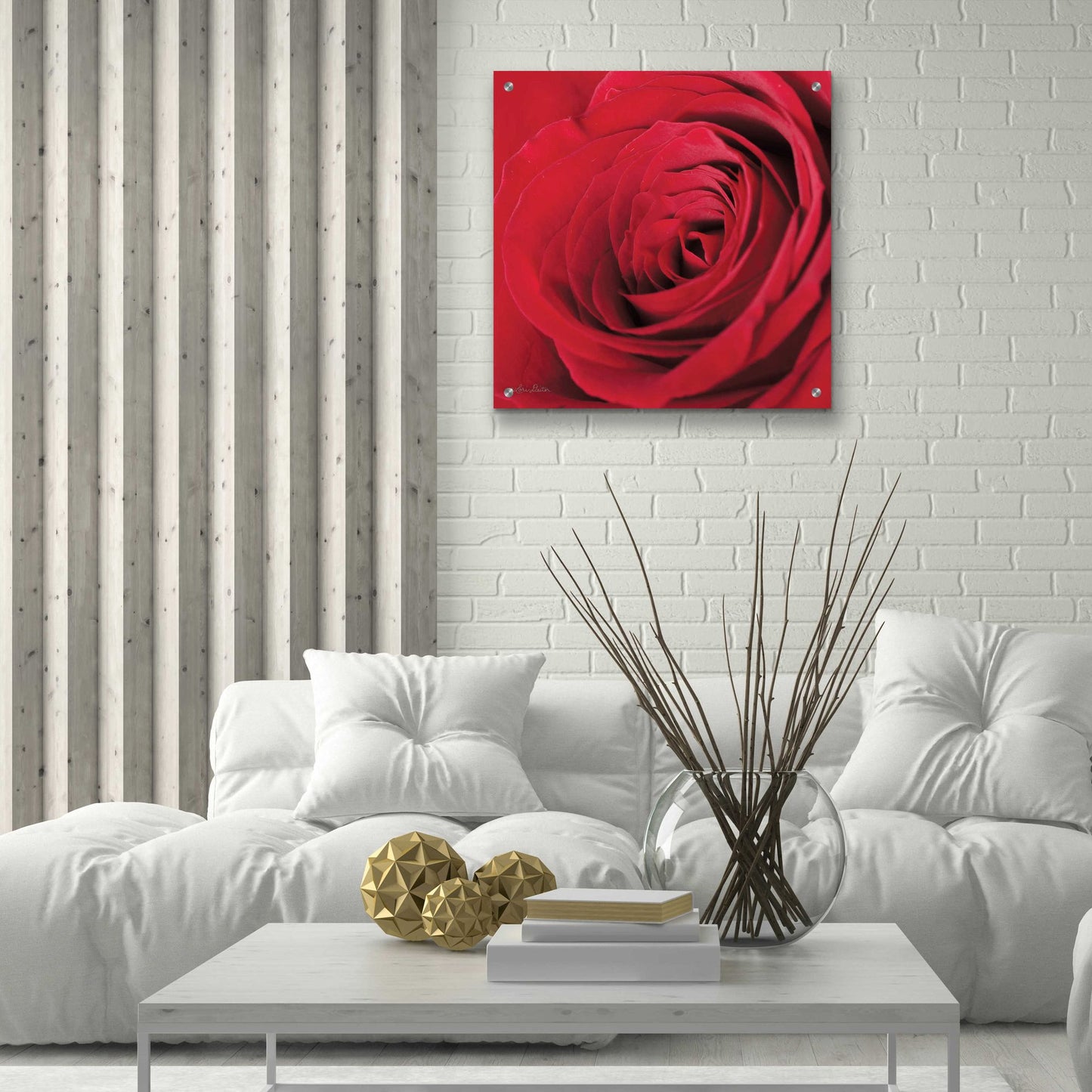 Epic Art 'The Red Rose III' by Lori Deiter, Acrylic Glass Wall Art,24x24