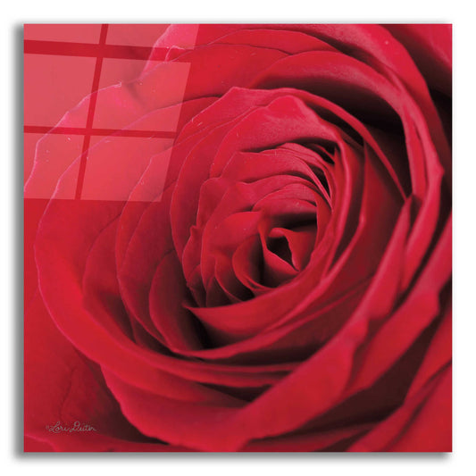 Epic Art 'The Red Rose III' by Lori Deiter, Acrylic Glass Wall Art