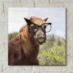 Epic Art 'Say Cheese Horse' by Lori Deiter, Acrylic Glass Wall Art,12x12
