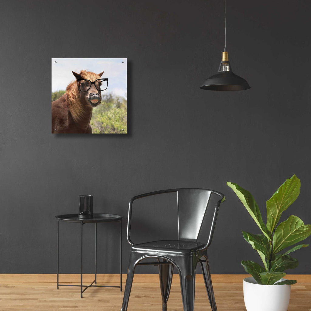 Epic Art 'Say Cheese Horse' by Lori Deiter, Acrylic Glass Wall Art,24x24