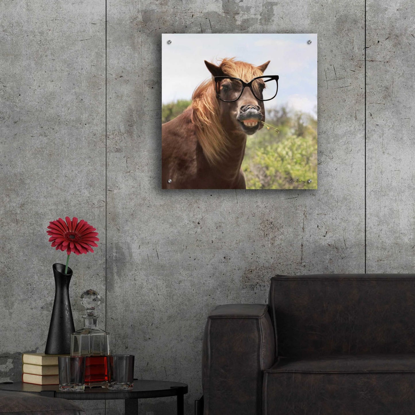 Epic Art 'Say Cheese Horse' by Lori Deiter, Acrylic Glass Wall Art,24x24