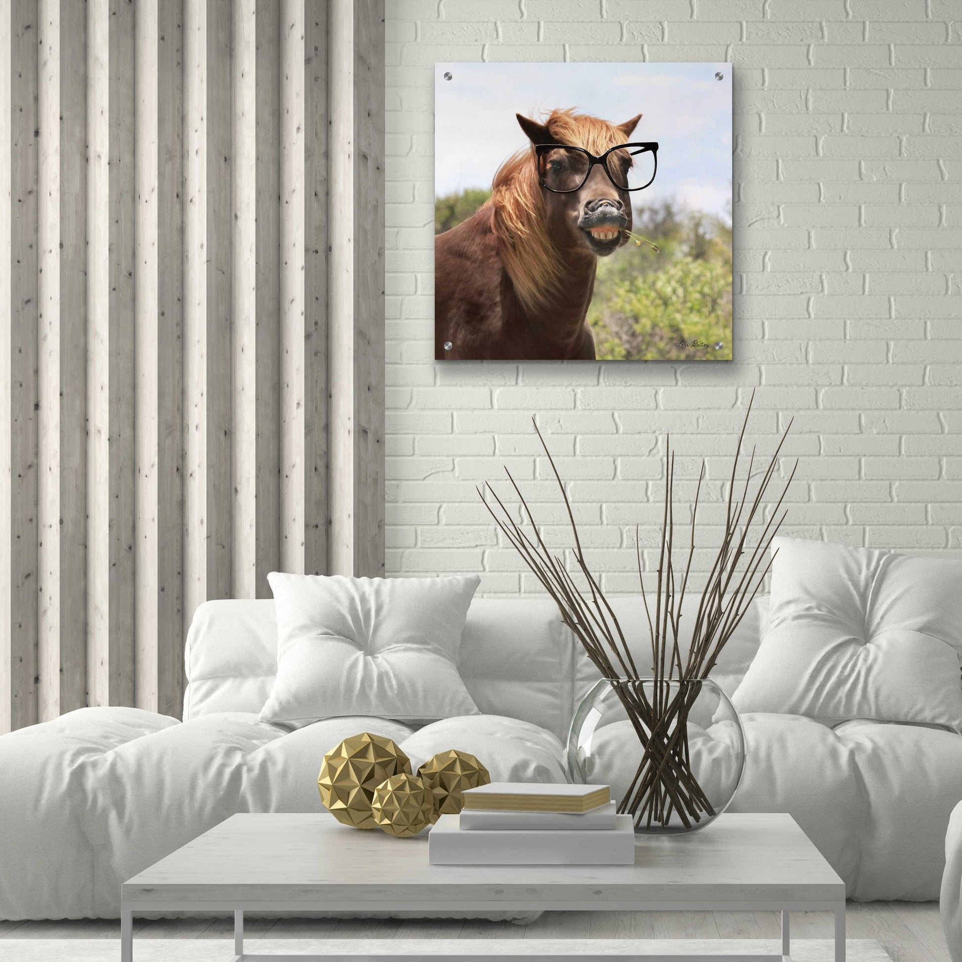 Epic Art 'Say Cheese Horse' by Lori Deiter, Acrylic Glass Wall Art,24x24