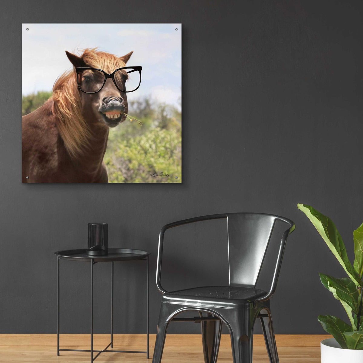 Epic Art 'Say Cheese Horse' by Lori Deiter, Acrylic Glass Wall Art,36x36