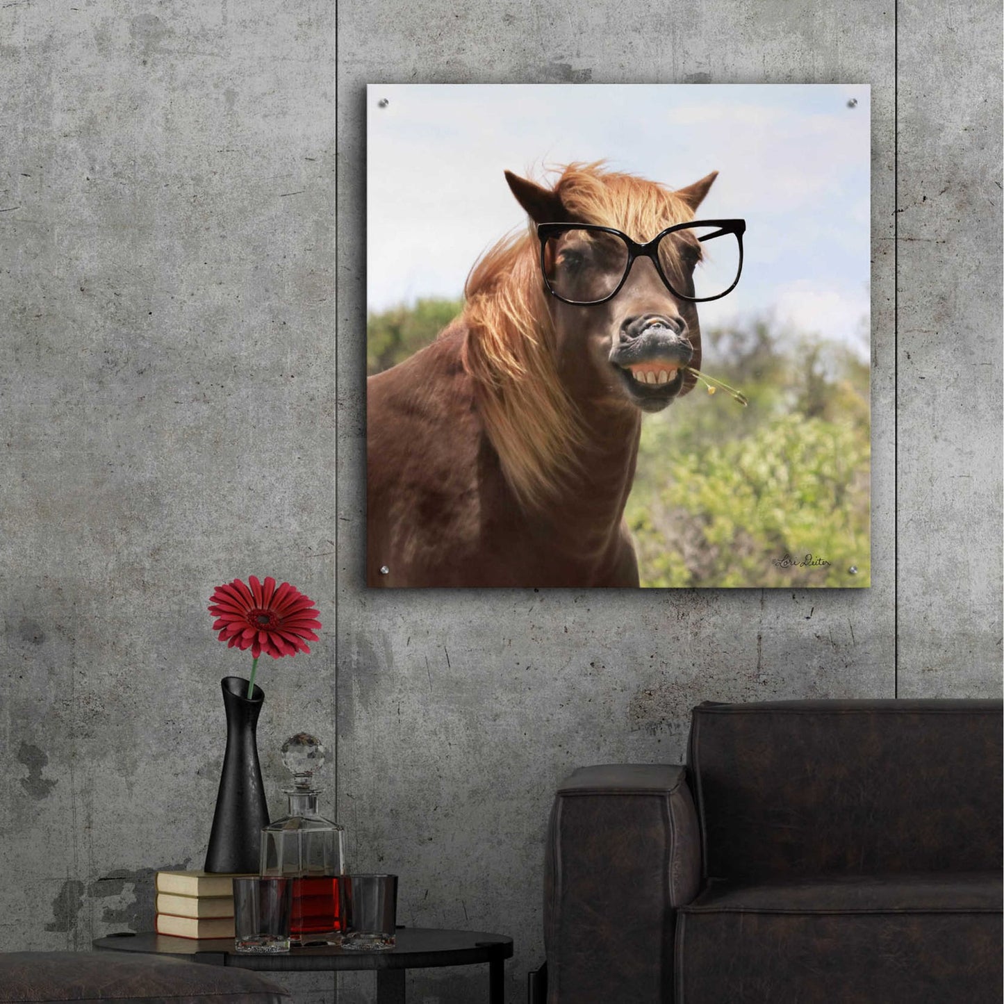 Epic Art 'Say Cheese Horse' by Lori Deiter, Acrylic Glass Wall Art,36x36