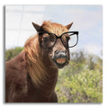 Epic Art 'Say Cheese Horse' by Lori Deiter, Acrylic Glass Wall Art