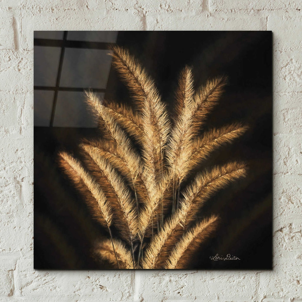 Epic Art 'Golden Grass II' by Lori Deiter, Acrylic Glass Wall Art,12x12